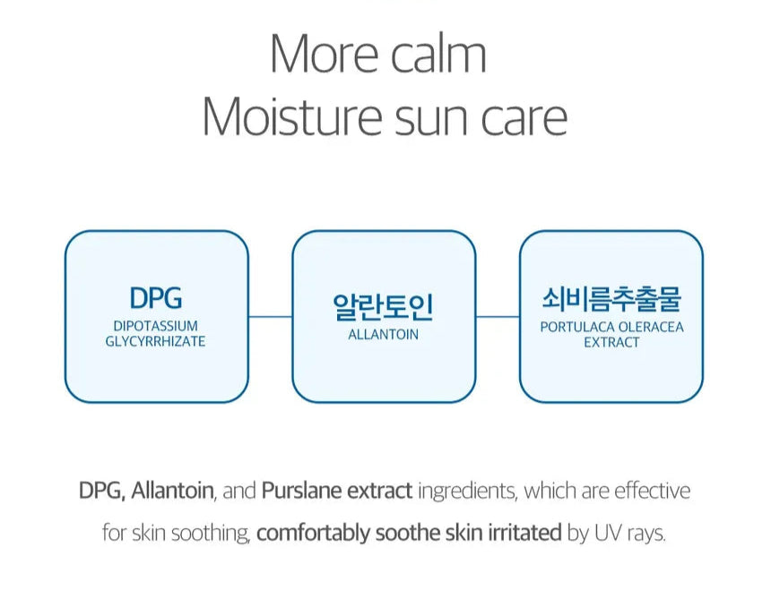 ROUND LAB - Birch Juice Moisturizing Sunscreen (SPF50+ PA++++) 50ml
