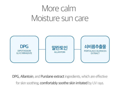 ROUND LAB - Birch Juice Moisturizing Sunscreen (SPF50+ PA++++) 50ml
