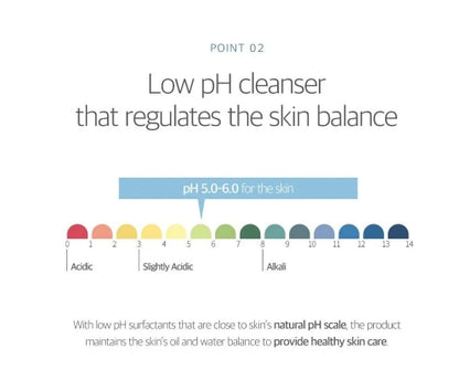 ROUND LAB - Birch Juice Moisturizing Cleanser 150ml